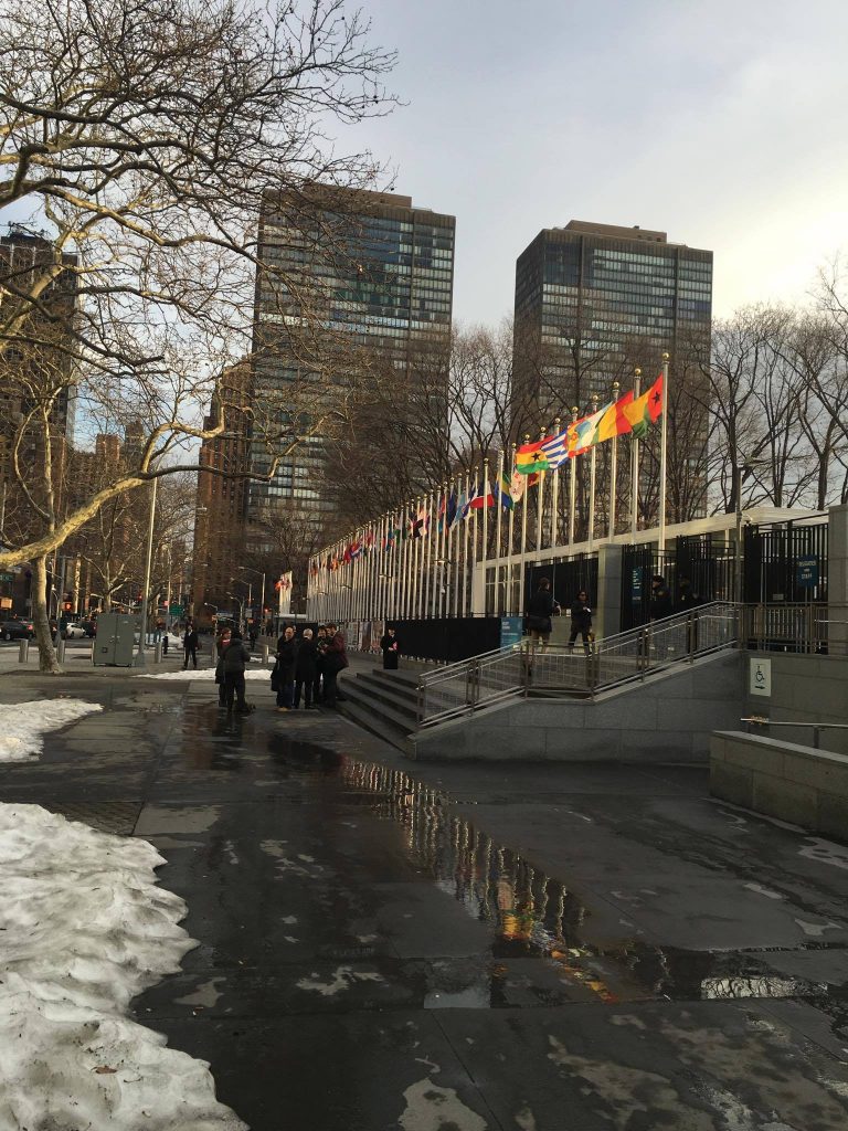 youth blog ecosoc exterior