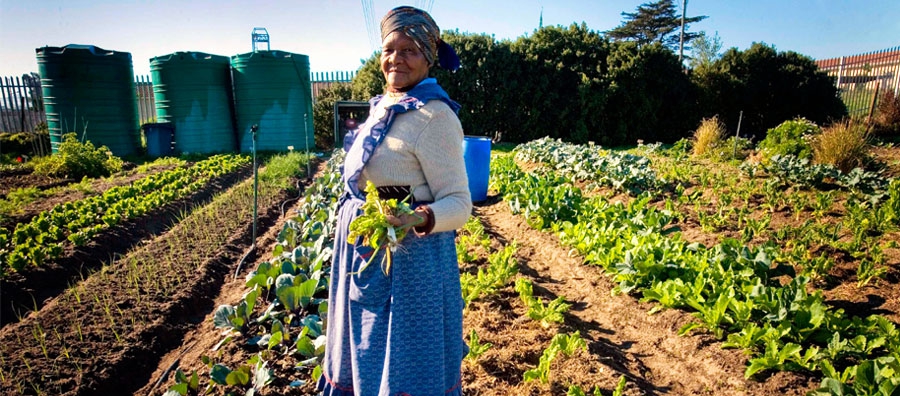 The Abalama Bezehkaya garden in Guguletu, Cape Town Photo © Department of Foreign Affairs and Trade/ Flickr
