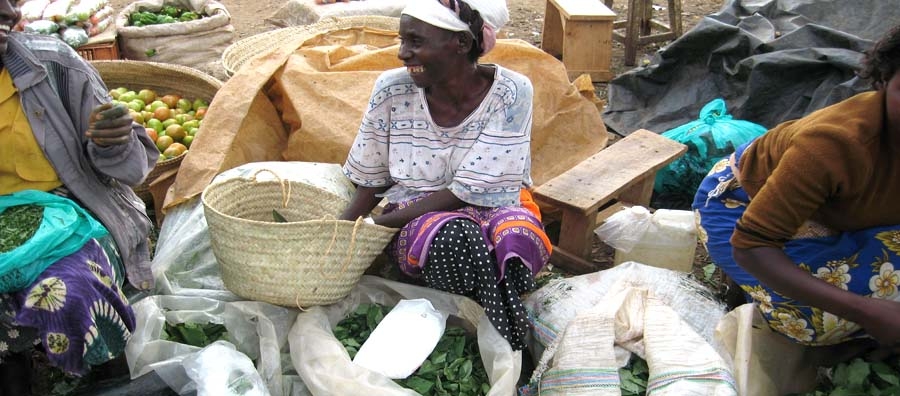 Kenyan saleswoman selling African Leafy Vegetables in a local market in Tunyai village in Kenya. Photo © Bioversity International/E. Gotor/Fikcr